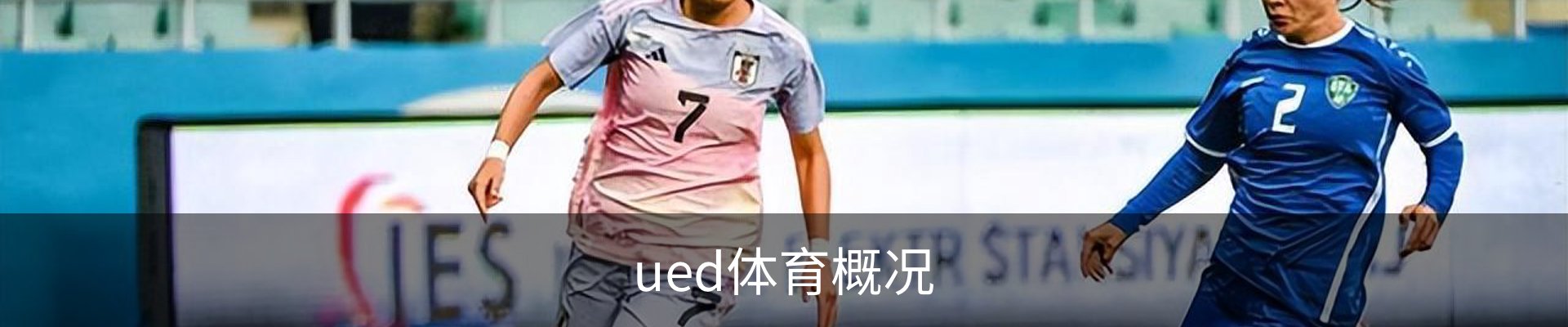 ued体育概况